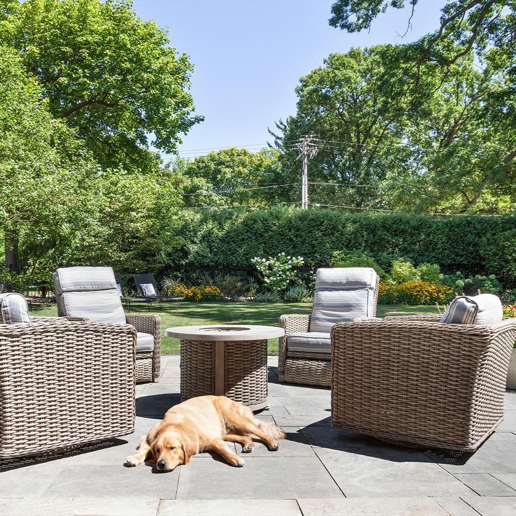 Image of a dog sunbathing on the patio | Michael Bennett Homes™