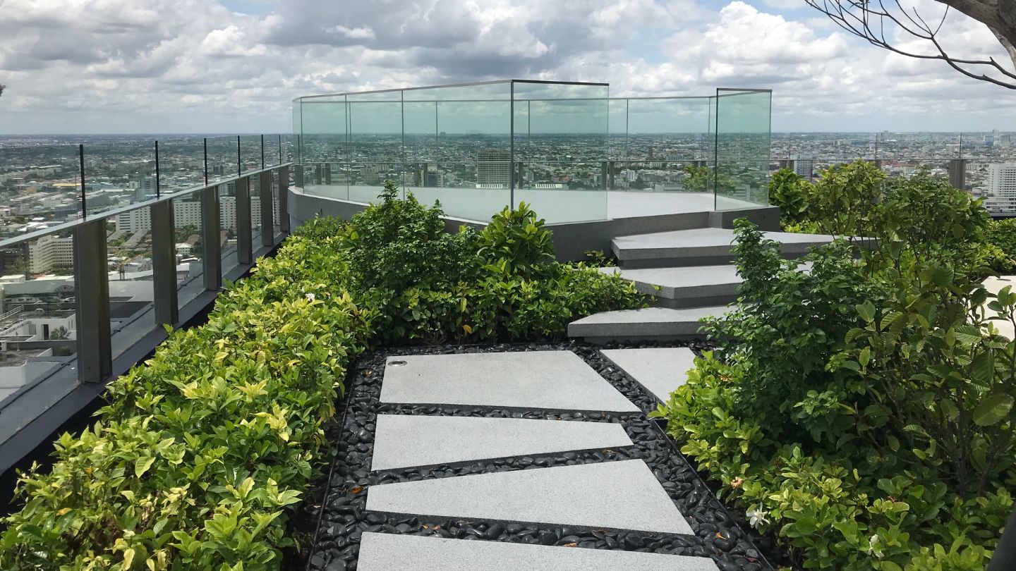 Ultimate Guide to Building a Custom Luxury Home with a Rooftop Garden